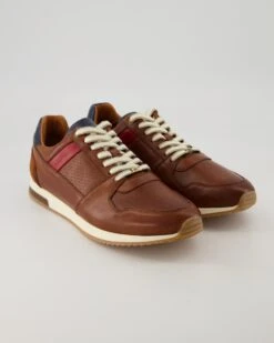 Ambitious Sneaker In Braun